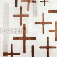 theframes-forthebirds